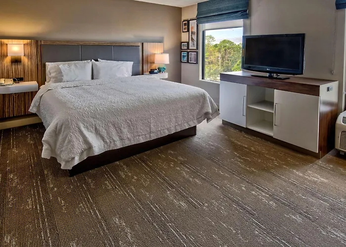 Hampton Inn&Suites Fort Myers Estero